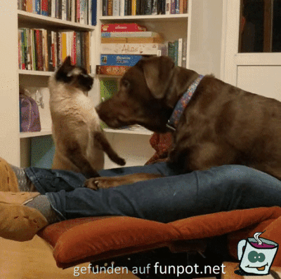 Das ist hier mein Platz Das ist hier mein Platz