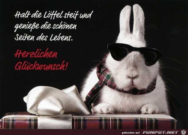 Halt die Loeffel steif Halt die Loeffel steif