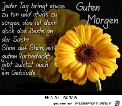 Jeder Tag bringt etwas Jeder Tag bringt etwas