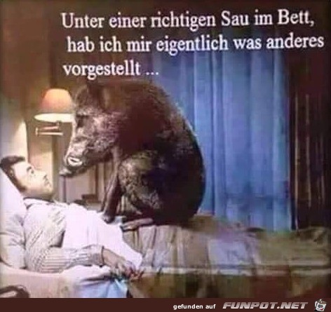 Eine Sau Eine Sau