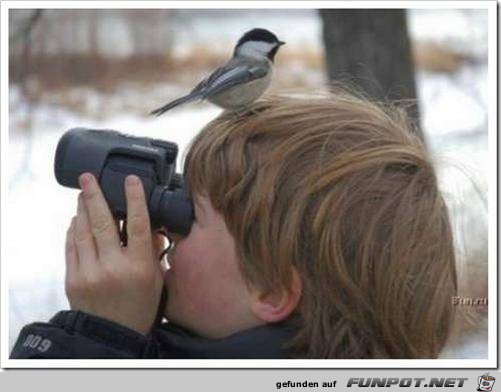 wo ist er? wo ist er?