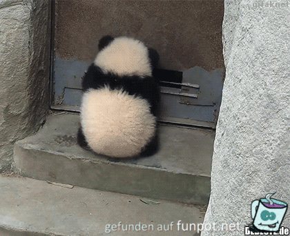 Ich bleib hängen Ich bleib hängen