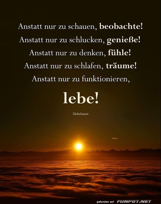 10 schne Sprche und Lebensweisheiten aus...