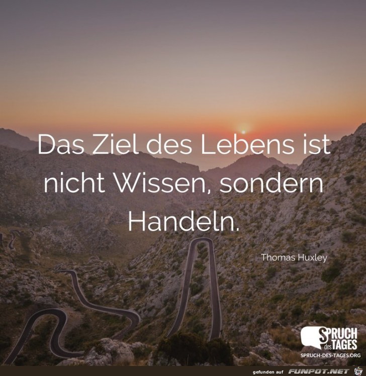das ziel des lebens das ziel des lebens