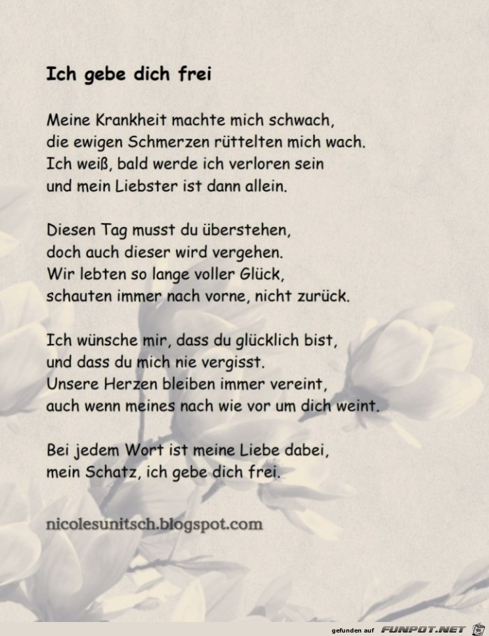 Ich gebe dich frei - Trauergedicht von Nicole Sunitsch