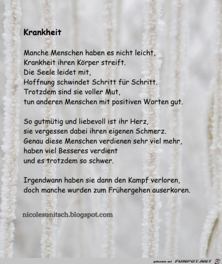 Krankheit- Trauergedicht von Nicole Sunitsch