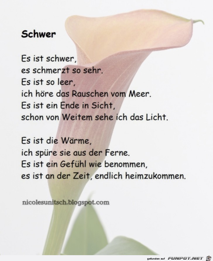 Schwer- Trauergedicht von Nicole Sunitsch