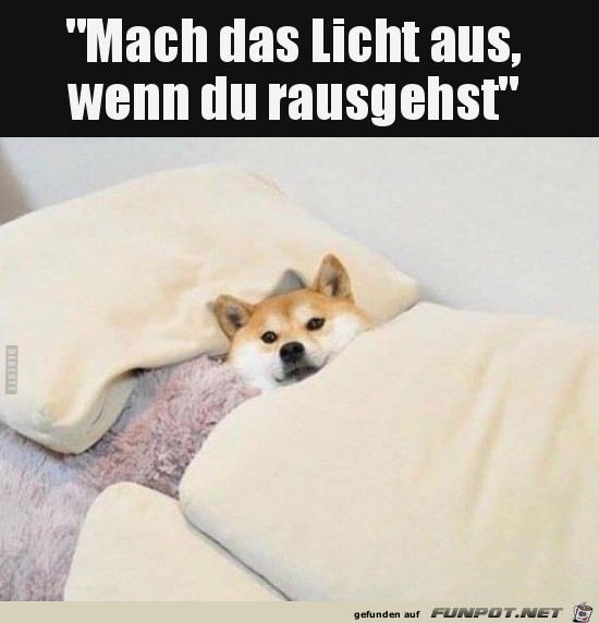 mach das Licht aus,......