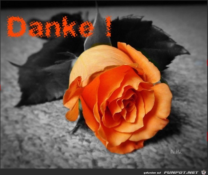Danke Danke
