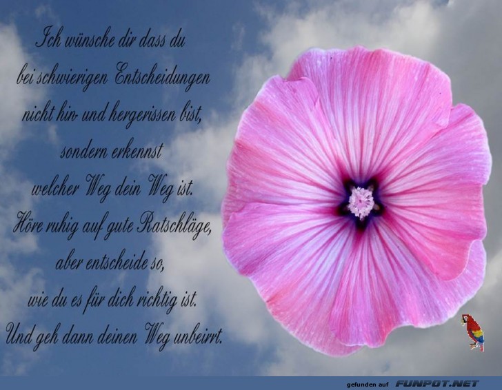 Ich wuensche dir