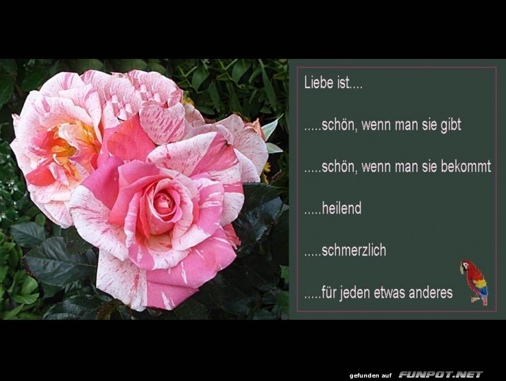Liebe ist 2 Liebe ist 2