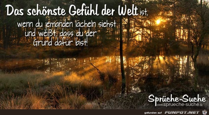 das shaeoenste Gefaeuehl der Welt das shaeoenste Gefaeuehl der Welt