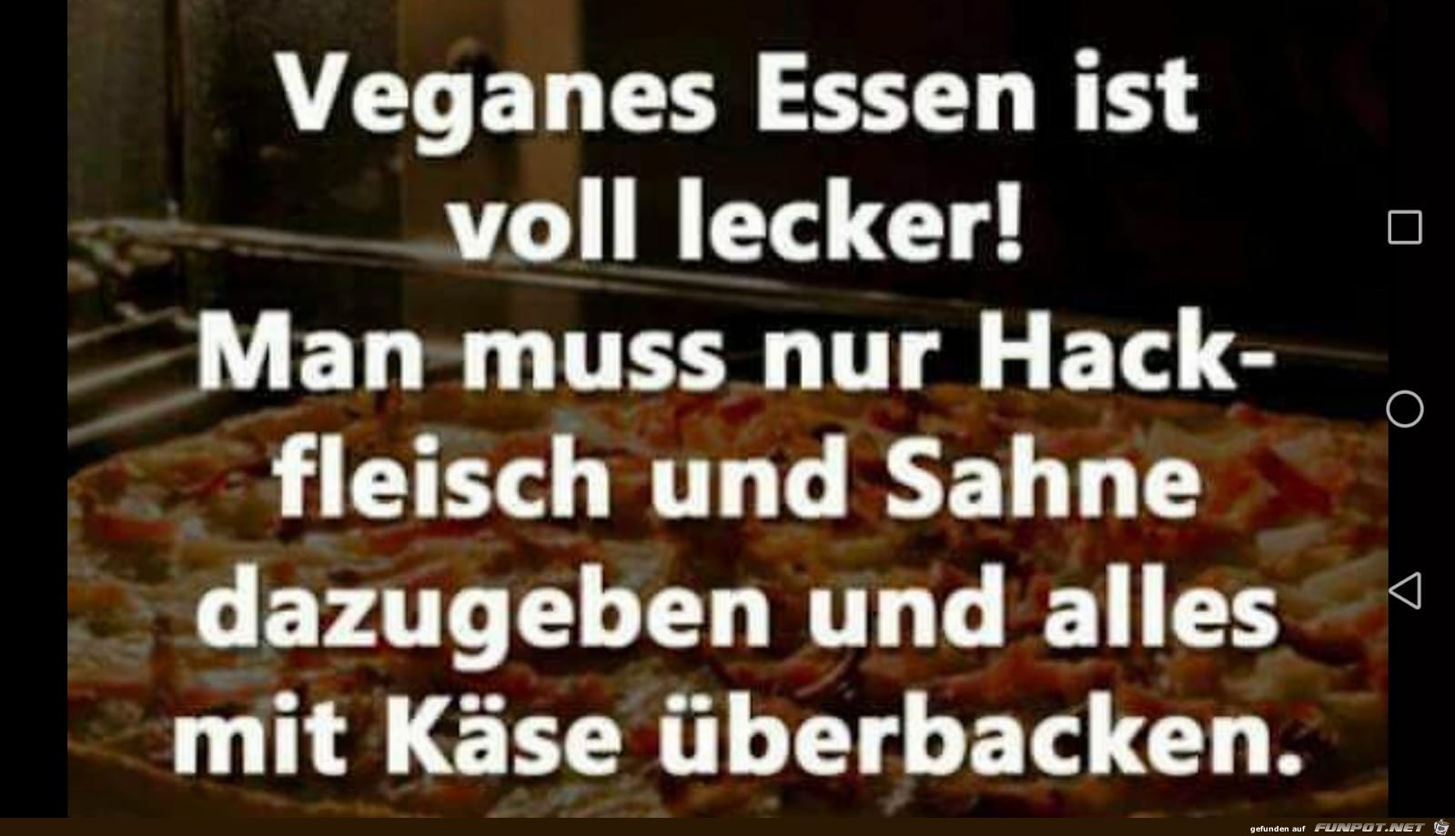 Vegan ist voll lecker