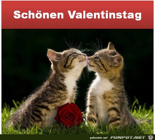 Valentinstag