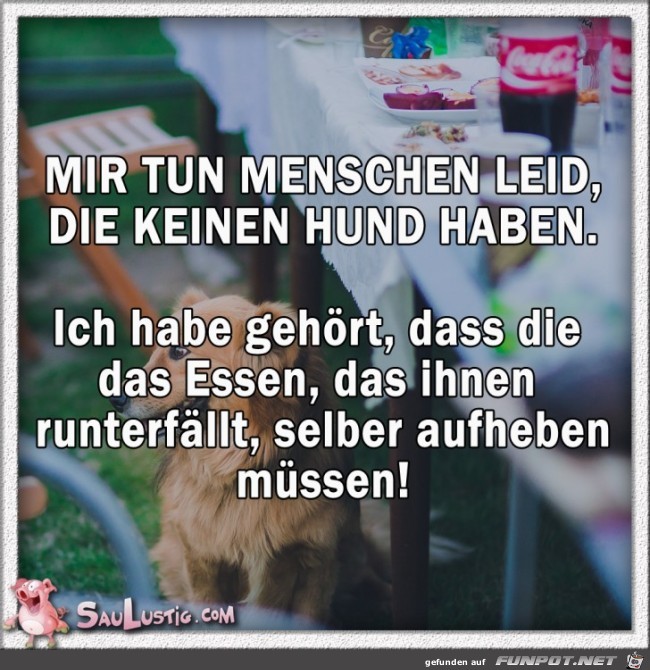 Mir-tun-Menschen-leid Mir-tun-Menschen-leid
