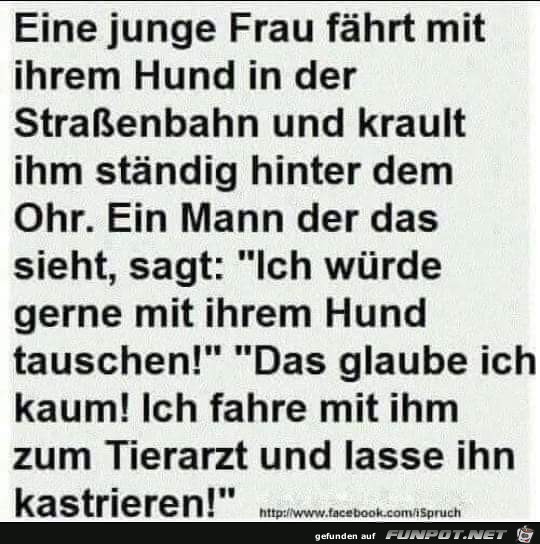 Zärtlichkeit für den Hund Zärtlichkeit für den Hund