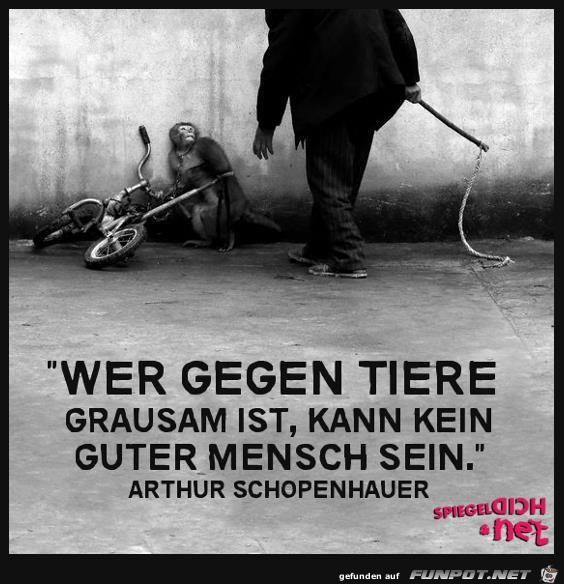 Wer gegen Tiere grausam ist