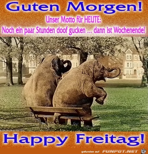 Freitag Freitag