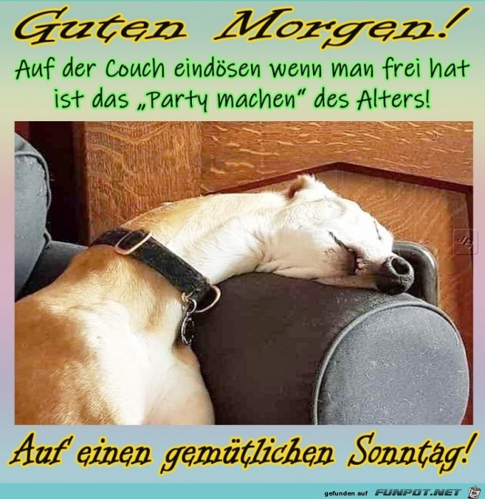Sonntag Sonntag