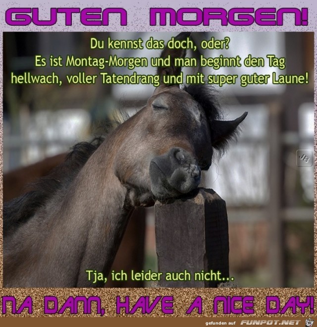Montag Montag