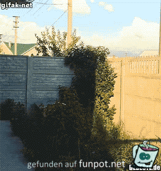 Da bin ich Da bin ich