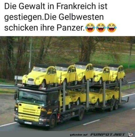 Gelbwesten Gelbwesten
