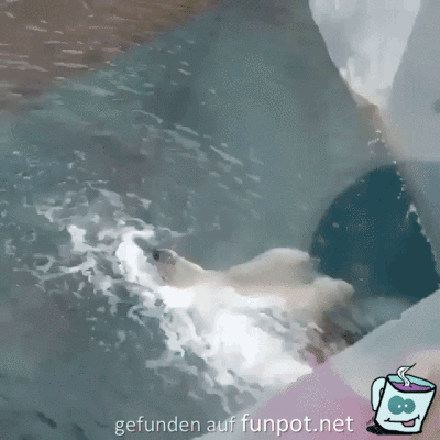 Super Rückenschwimmer Super Rückenschwimmer