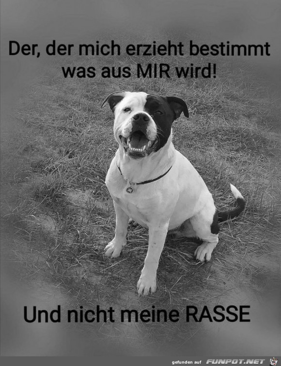 der der mich erzieht der der mich erzieht