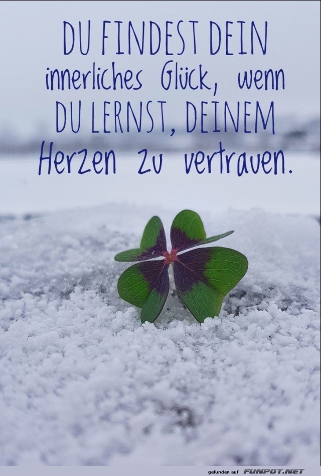10 schne Sprche und Lebensweisheiten aus...