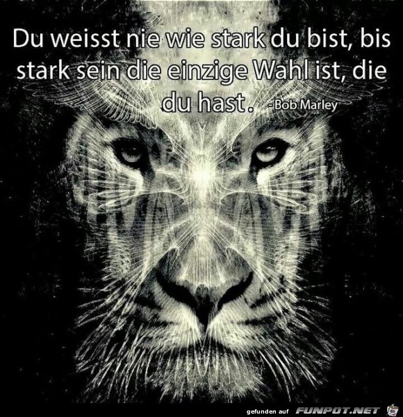 du weisst nie wie stark du bist du weisst nie wie stark du bist