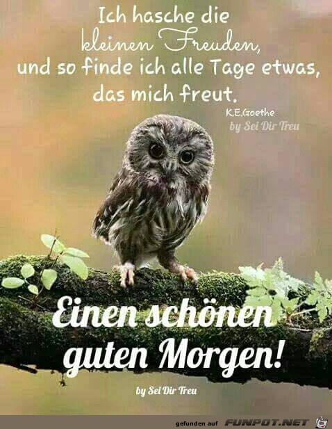 ICH HASCHE DIE KLEINEN fREUDEN ICH HASCHE DIE KLEINEN fREUDEN