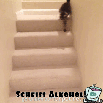 Zu viel getrunken Zu viel getrunken