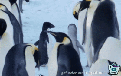Du ich schlag dich Du ich schlag dich