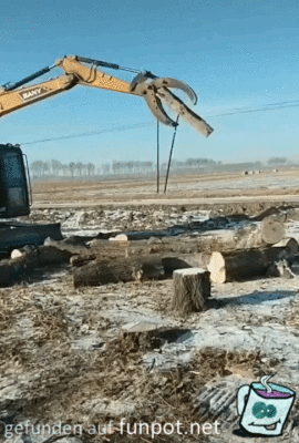 Das Spiel mit dem Holz Das Spiel mit dem Holz