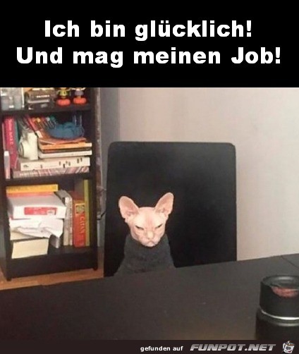 Super Job Super Job