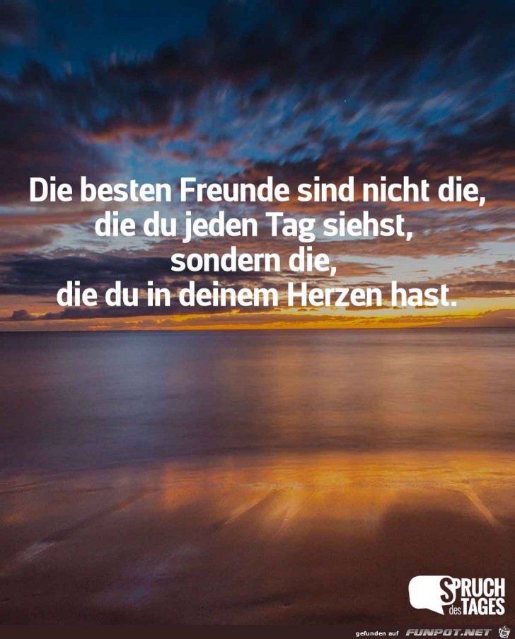 die besten freunde die besten freunde