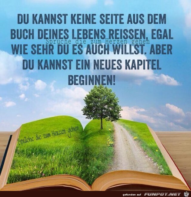 du kannst keine seite du kannst keine seite