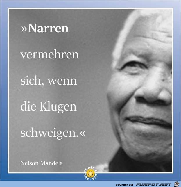 Narren vermehren sich Narren vermehren sich
