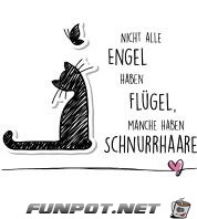 nicht alle Engel