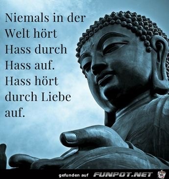 niemals in der welt