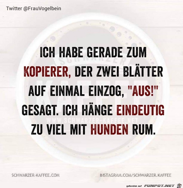 Zu viel mit Hunden zusammen Zu viel mit Hunden zusammen
