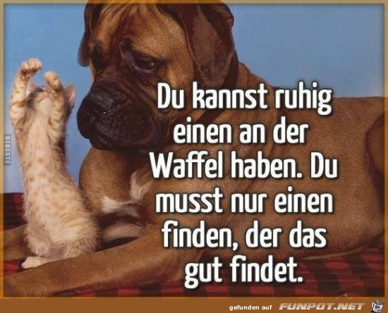 du kannst ruhig einen an der Waffel haben......