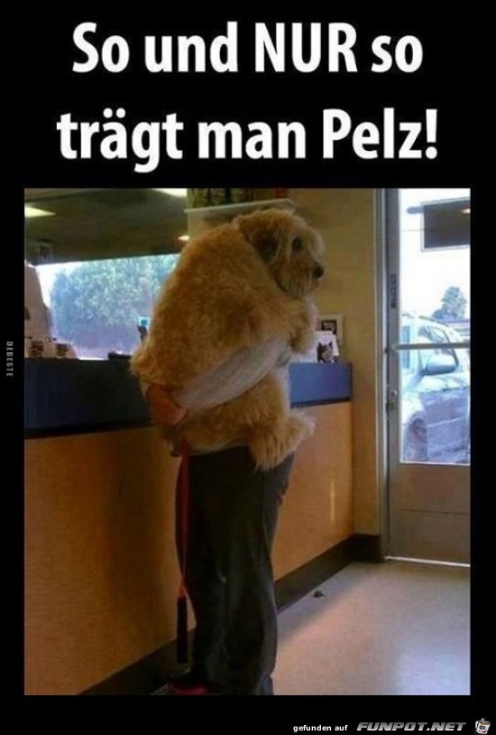 so trägt man Pelz so trägt man Pelz
