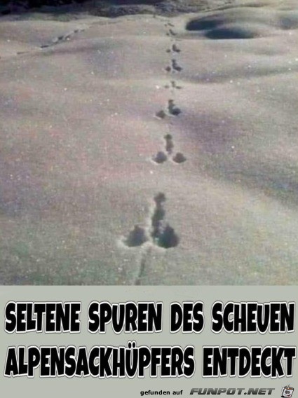 Selten Spuren Selten Spuren