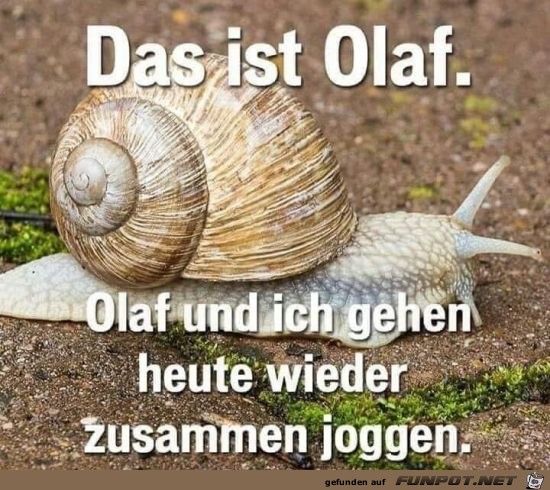 das ist olaf das ist olaf