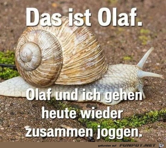 das ist olaf