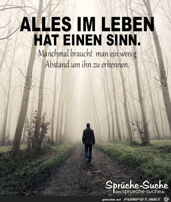 alles im Leben alles im Leben