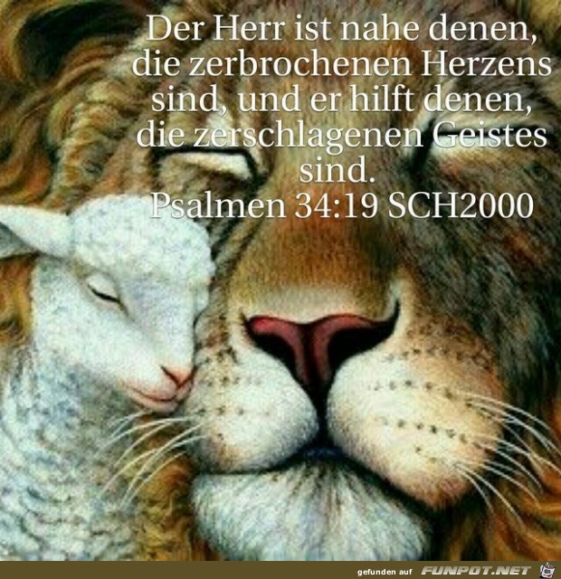 Psalm 34.19 Psalm 34.19