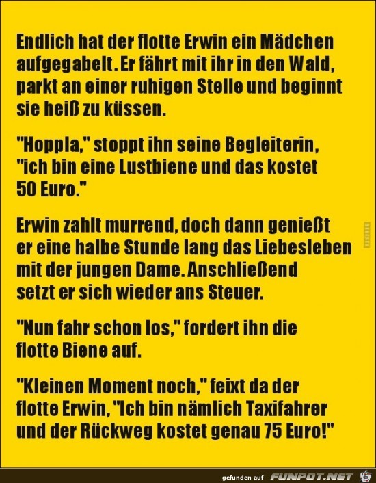 der flotte Erwin,....... der flotte Erwin,.......