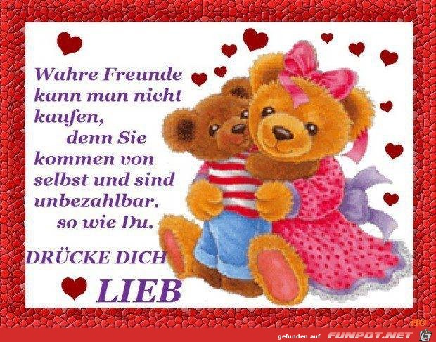 Wahre Freunde Wahre Freunde